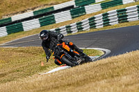 Middle Group Orange Bikes